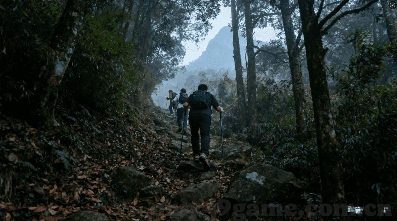 乐鱼体育进不去了-一、网络连接的稳定性